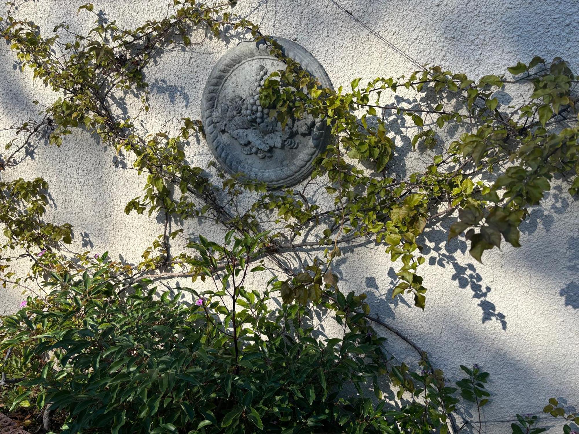 In The Vine Country Manor Guesthouse Stellenbosch Dış mekan fotoğraf